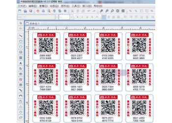 中琅可变二维码标签制作软件