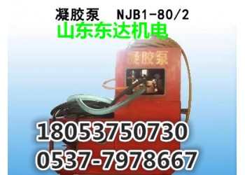 NJB1-80/2防灭火凝胶泵NJB80/2厂家