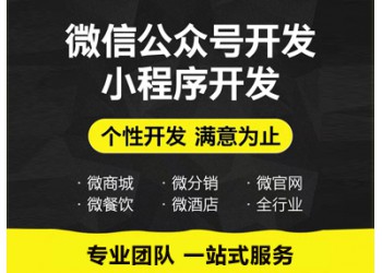 系统软件、应用软件、网站开发等 微信网站+微信公众号