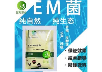 养鱼用的水产em菌在哪儿有卖的