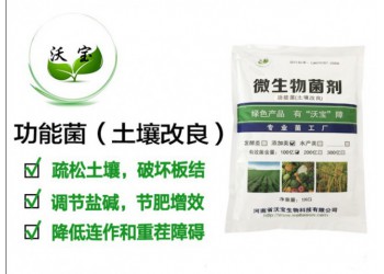 土壤改良生物菌调节土壤板结盐碱疏松抗重茬降低连作障碍冲施肥