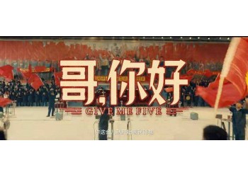 哥你好为什么撤档？预计什么时候上映？想投资还有份额吗？