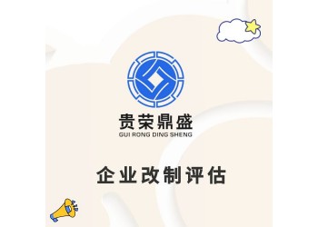 宜春市股份制改制评估整体评估设立公司评估