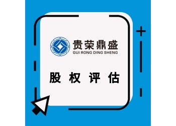 广东省中山市企业净资产评估