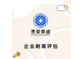 广东省汕尾市资产剥离资产评估企业价值评估资产剥离