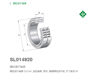 代理德国INA轴承SL014920-A