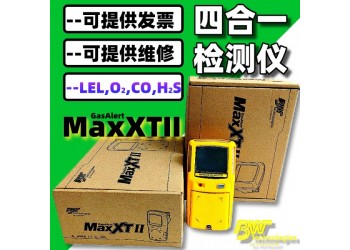 BW MAXXTII T2G 4E8泵吸式多气体检测仪