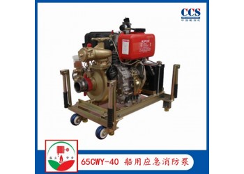 65CWY-40船用CWY系列柴油机应急消防泵带CCS