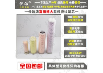 FYS型高效油水分离器 FYS-20 FYS-30