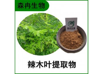 森冉生物 辣木叶提取物 辣木叶粉 鼓槌树叶提取物